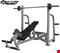 میز پرس بالا سینه هالتری CHEST PRESS INCLINE 5010